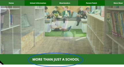 Homepage more than
